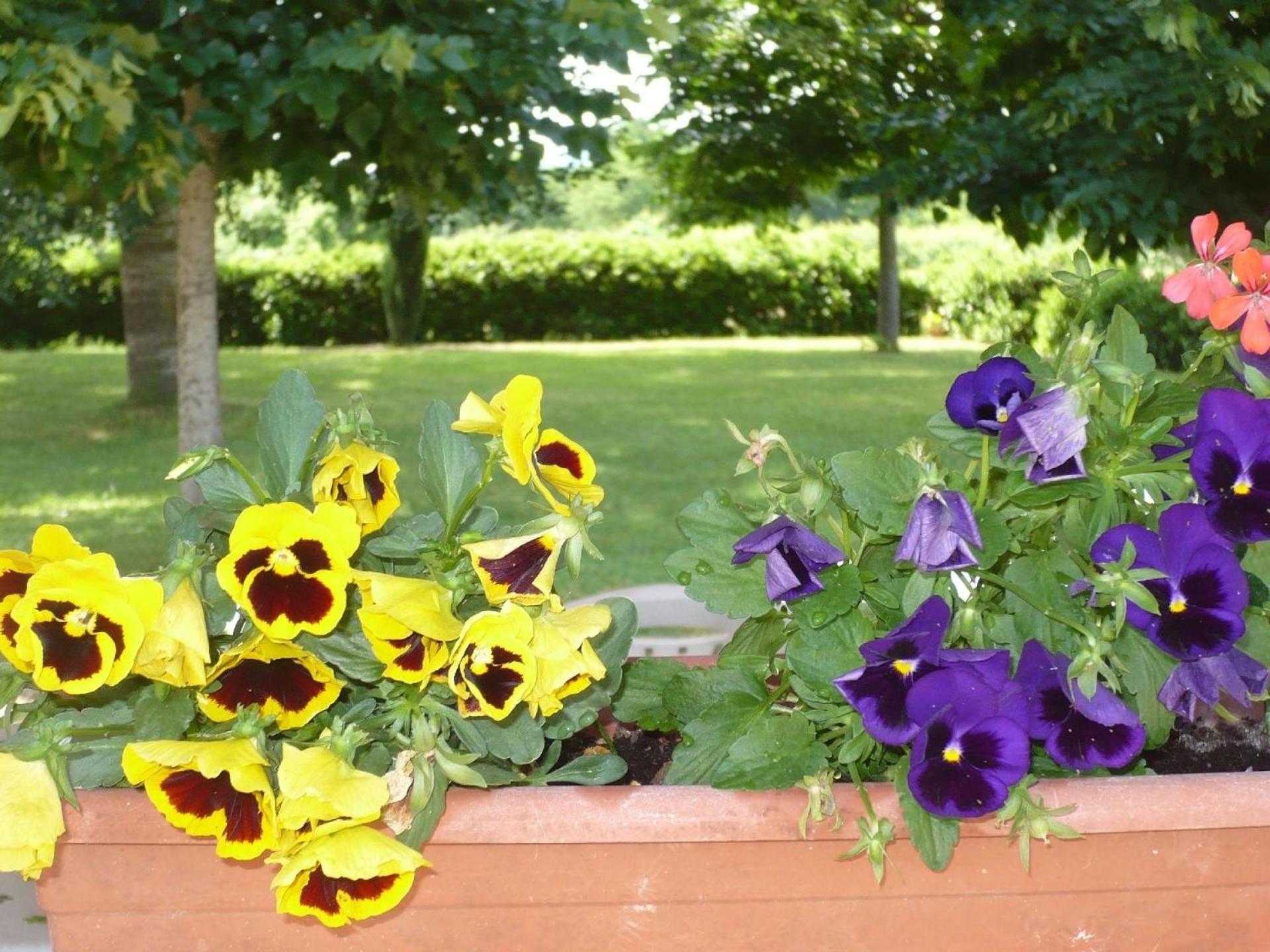 Charmantes Ferienhaus In Piani Della Rugginosa Mit Grossem Garten Reggello Ngoại thất bức ảnh